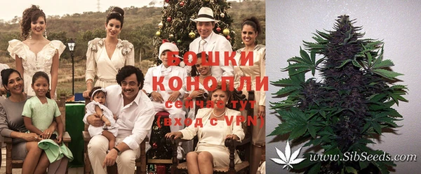 каннабис Баксан